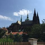 Photo of Shari Bahri