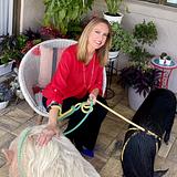 Photo of Flying Pigs Home Team