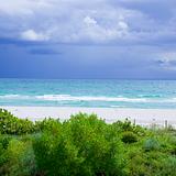 Photo of Anaisha Rodriguez