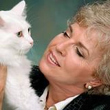 Photo of Darlene Pifalo