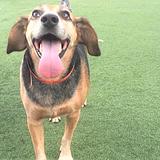 Photo of The Mae Alden Group