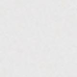 Photo of Susan McCoy