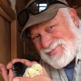 Photo of Rhino Joe Marotta